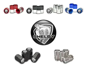 Cappelli Stelo Valvola Moto Costruzione Forza